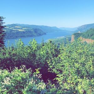 Meet your Posher, Rose